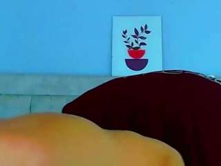 hannilest webcam model stream image