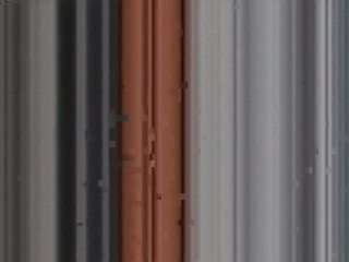 staticprotege webcam model stream image