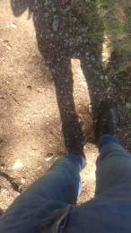 wolfi80 webcam model stream image