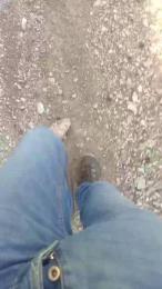 wolfi80 webcam cam4 model stream image