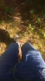 wolfi80 webcam model stream image