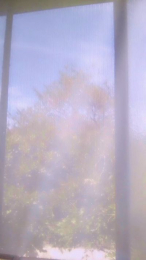 Missclea webcam model stream image