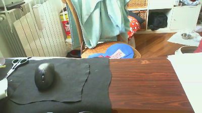 fril77 webcam model stream image