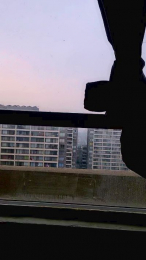 Carolinaalg webcam model stream image
