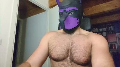 Hairypuppy82 webcam model stream image