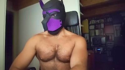 Hairypuppy82 webcam cam4 model stream image