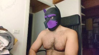 Hairypuppy82 webcam model stream image