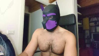 Hairypuppy82 webcam model stream image