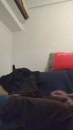 nimfomano69_xxx webcam model stream image