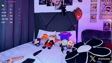Aryrouse webcam model stream image