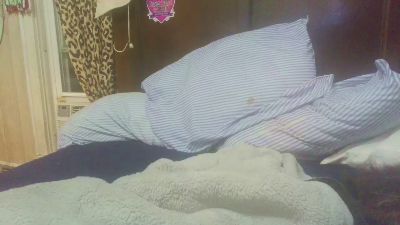 Lesbians2018 webcam model stream image