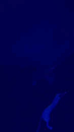 pollon293 webcam cam4 model stream image