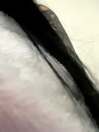 eva_sexx69 webcam stripchat model stream image