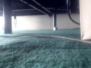 suckitandseee webcam model stream image