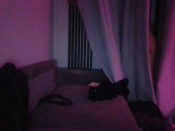 Shatensexy webcam bongacams model stream image