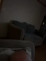 curis4270panda webcam model stream image