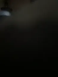 curis4270panda webcam model stream image