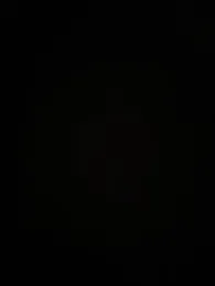 curis4270panda webcam model stream image