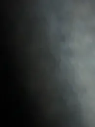 curis4270panda webcam model stream image