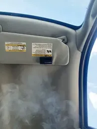 curis4270panda webcam model stream image