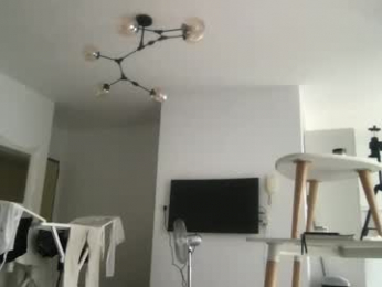 drresa webcam model stream image