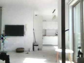 drresa webcam model stream image