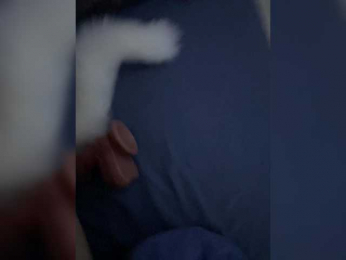 Dimir888 webcam bongacams model stream image