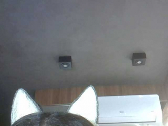 SkinnyKitty webcam bongacams model stream image