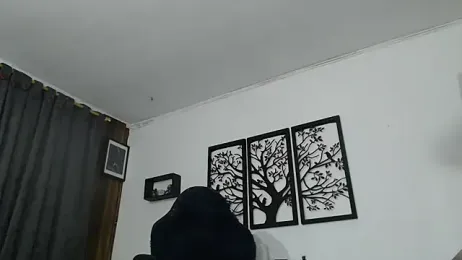 Ryan-theman webcam model stream image