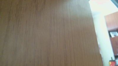 flugwespe2 webcam model stream image