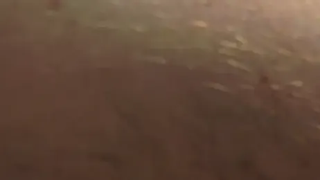 jj7779SC webcam model stream image