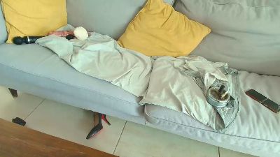 Ciuini webcam model stream image