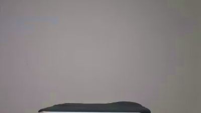 bispose webcam model stream image