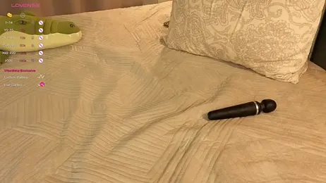 FlexiPixie webcam model stream image