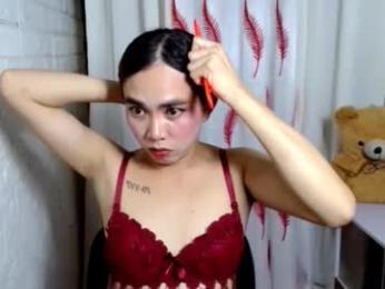 sexxywild_asiants4uxxx webcam model stream image