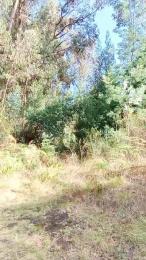 _noahdiaz webcam model stream image