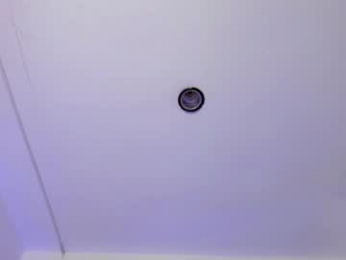 bella_rose7 webcam model stream image