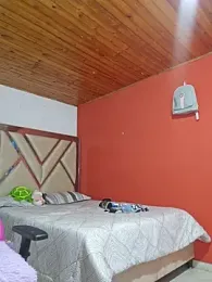 shermie-the-kindof webcam stripchat model stream image
