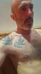 trazodon81 webcam model stream image