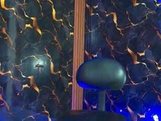 David Clay webcam model stream image