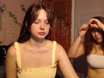 _52_ webcam model stream image