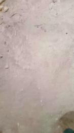 osopajas2 webcam model stream image