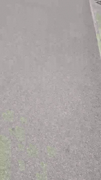 Milyjeje webcam model stream image