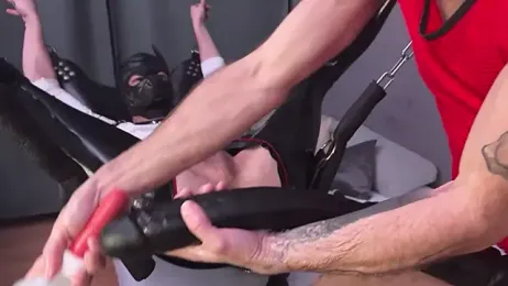 djejzi webcam model stream image