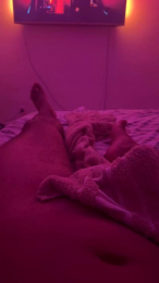 Rhoma webcam model stream image