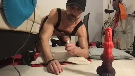 Zaak91190 webcam stripchat model stream image