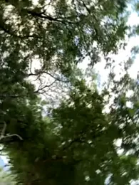 outdoors11 webcam model stream image