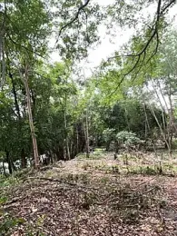 outdoors11 webcam model stream image