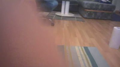 davidgeil webcam model stream image