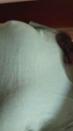 camilita59 webcam cam4 model stream image